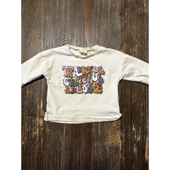 Abbie & Evie Long Sleeve Thanksgiving Blouse Size 2T - Picture 1 of 4